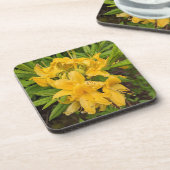 Gele Azalea Blooms Floral Beverage Coaster Bier Onderzetter (Linkerzijde)