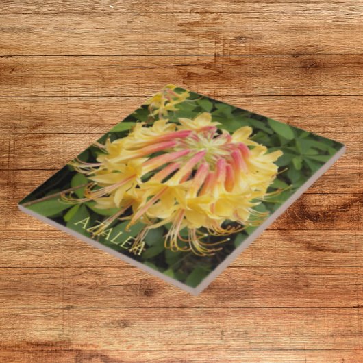 Gele Azalea Blooms Floral Tegeltje