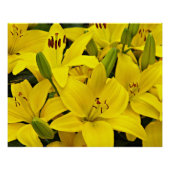 Gele Aziatische gelilies Floral Perfect Poster (Voorkant)