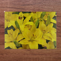 Gele Aziatische gelilies Floral