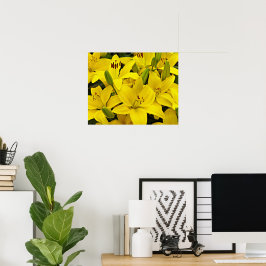 Gele Aziatische lelies bloem fotografisch Poster