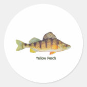 Gele baars (getiteld) ronde sticker (Voorkant)