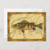 Gele baars op kaart (Voorkant / Achterkant)