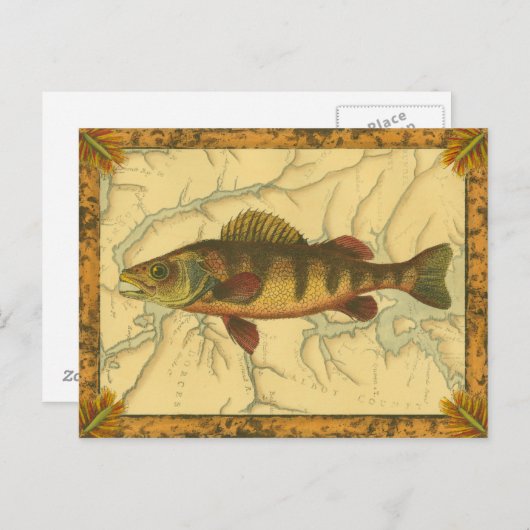 Gele baars op kaart (Voorkant / Achterkant)