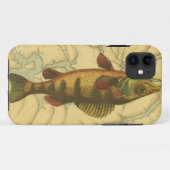 Gele baars op kaart Case-Mate iPhone case (Achterkant (horizontaal))