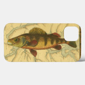 Gele baars op kaart Case-Mate iPhone case (Achterkant (horizontaal))