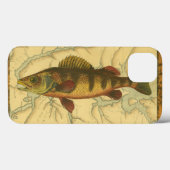 Gele baars op kaart Case-Mate iPhone case (Achterkant (horizontaal))