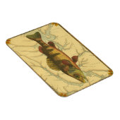 Gele baars op kaart magneet (Rechterzijde)