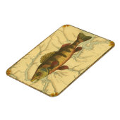 Gele baars op kaart magneet (Linkerzijde)