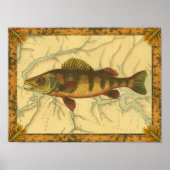 Gele baars op kaart poster (Voorkant)