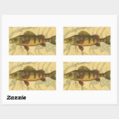 Gele baars op kaart rechthoekige sticker (Vel)