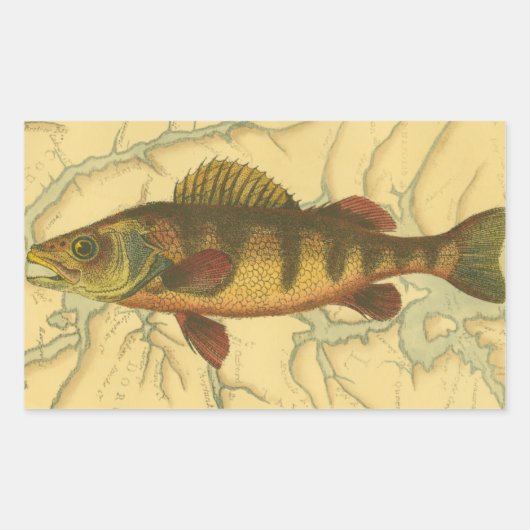 Gele baars op kaart rechthoekige sticker (Voorkant)