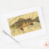 Gele baars op kaart rechthoekige sticker (Envelop)