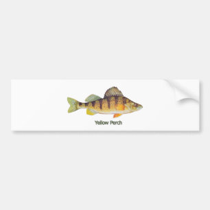 Gele baars (titel) bumpersticker