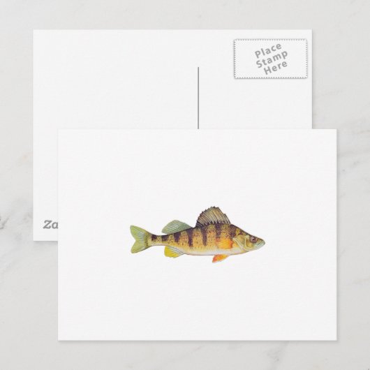 Gele baars (zonder titel) briefkaart (Voorkant / Achterkant)