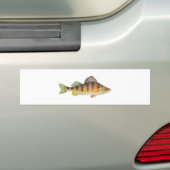 Gele baars (zonder titel) bumpersticker (Op auto)