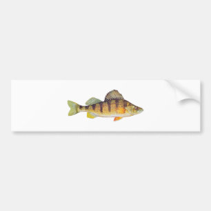 Gele baars (zonder titel) bumpersticker