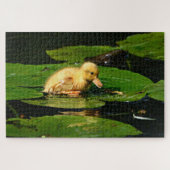 Gele Baby Duck op Lily Pads Legpuzzel (Horizontaal)