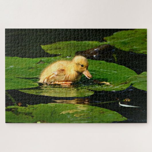 Gele Baby Duck op Lily Pads Legpuzzel (Horizontaal)