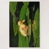 Gele Baby Duck op Lily Pads Legpuzzel (Verticaal)