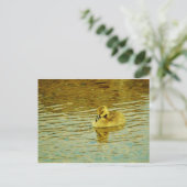 Gele baby gans in water briefkaart (Staand voorkant)