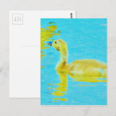 Gele Baby gans met lichtblauw water Briefkaart (Voorkant / Achterkant)