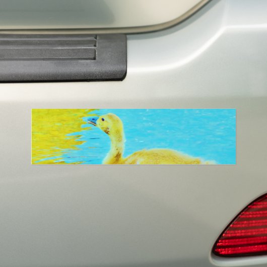 Gele Baby gans met lichtblauw water Bumpersticker (Op auto)