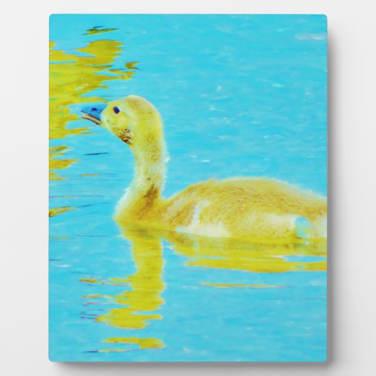 Gele Baby gans met lichtblauw water Fotoplaat (Voorkant)
