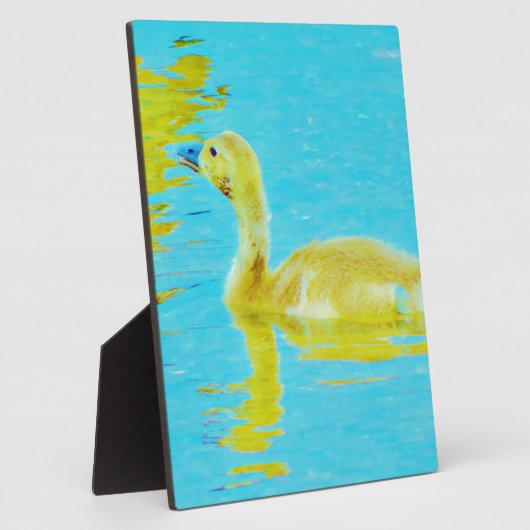 Gele Baby gans met lichtblauw water Fotoplaat (Zijkant)
