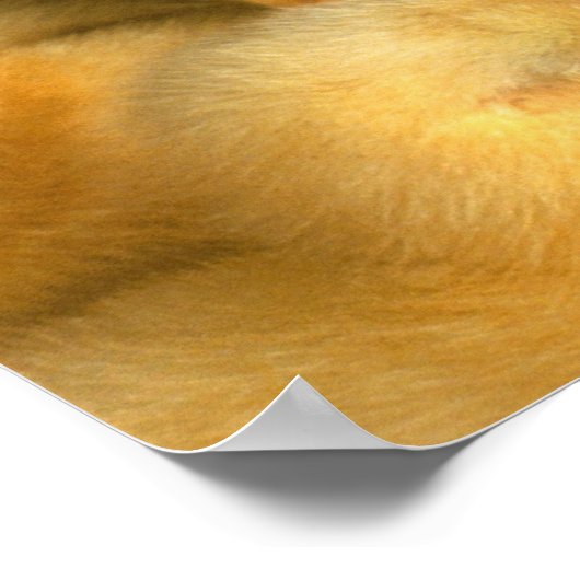 Gele Baby kippen Poster (Hoek)