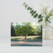 gele baksteen weg 2 Briefkaart (Staand voorkant)