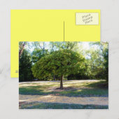 gele baksteen weg 2 Briefkaart (Voorkant / Achterkant)