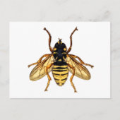  Gele Bee Briefkaart (Voorkant)