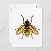  Gele Bee Briefkaart (Voorkant / Achterkant)