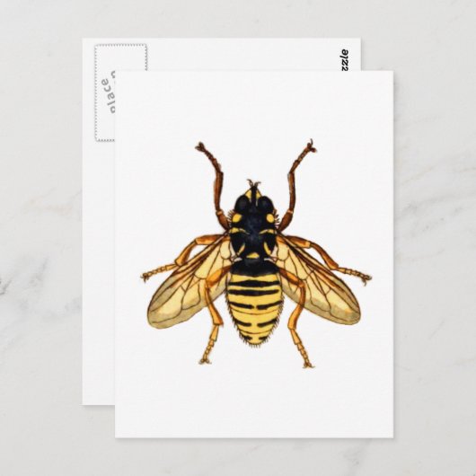  Gele Bee Briefkaart (Voorkant / Achterkant)