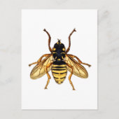  Gele Bee Briefkaart (Voorkant)