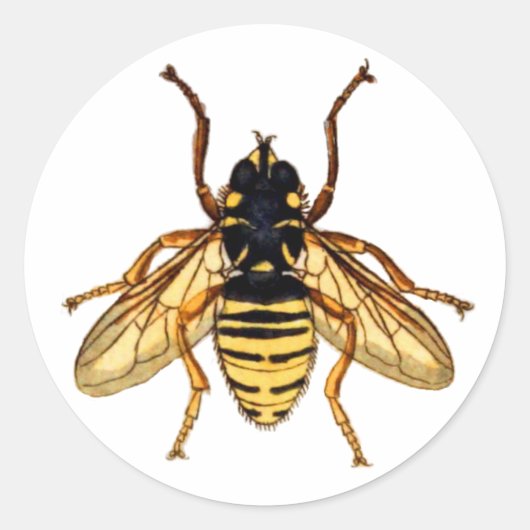Gele Bee Ronde Sticker (Voorkant)