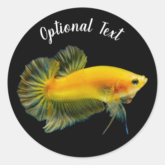 Gele Betta Vechtvis Ronde Sticker (Voorkant)