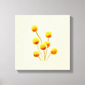 Gele Billy Button (Australische bloem) Canvas Afdruk (Voorkant)
