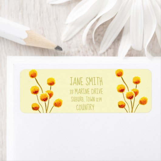 Gele Billy Button (Australische bloem) Etiket (Insitu)