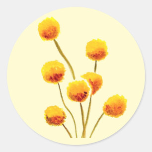 Gele Billy Button (Australische bloem) Ronde Sticker