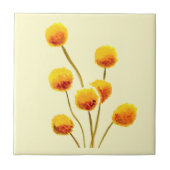 Gele Billy Button (Australische bloem) Tegeltje (Voorkant)