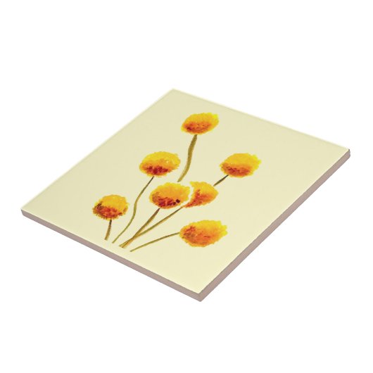 Gele Billy Button (Australische bloem) Tegeltje (Zijkant)