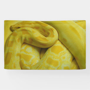Gele Birmaanse Python Spandoek