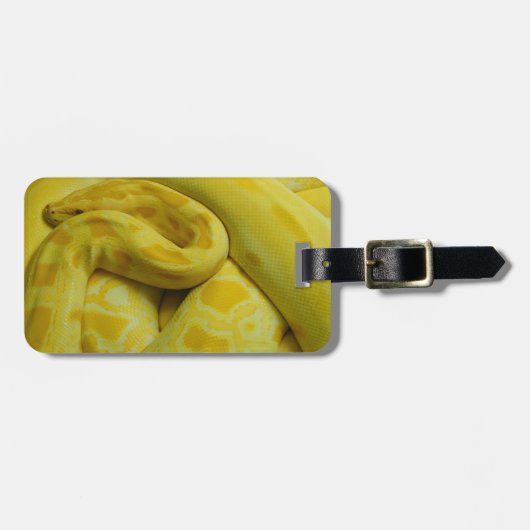 Gele Birmese Python Bagagelabel (Voorkant horizontaal)