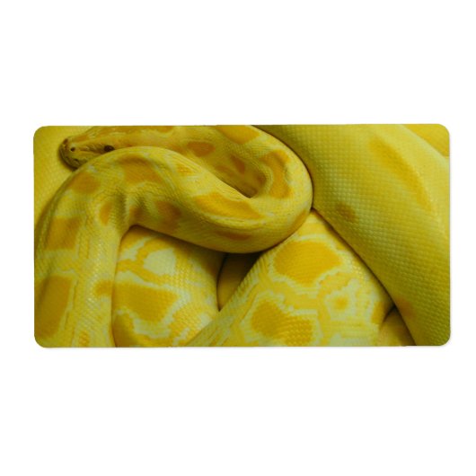 Gele Birmese Python Etiket (Voorkant)