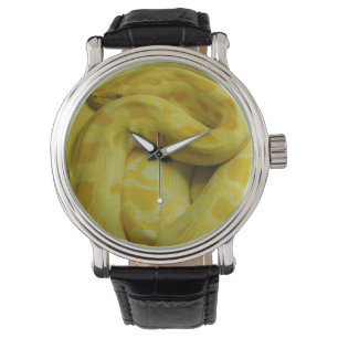 Gele Birmese Python Horloge
