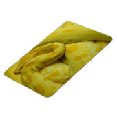 Gele Birmese Python Magneet (Linkerzijde)
