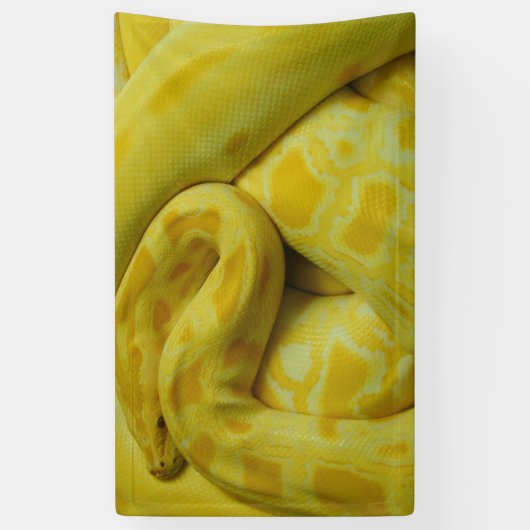 Gele Birmese Python Spandoek (Verticaal)