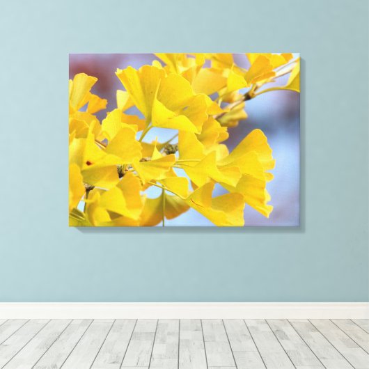 Gele bladeren Ginkgo-boom Canvas Afdruk (Insitu (Houten vloer))